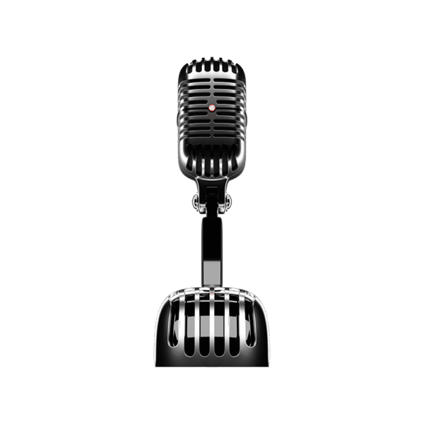 Recording Mic